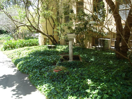hospicegarden.jpg