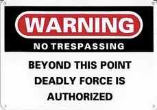 deadlyforce